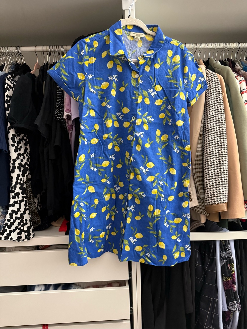 Appleseeds Vintage Blue Lemon Print Dress Top